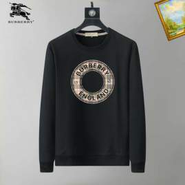 Picture of Burberry Sweatshirt _SKUBurberryM-3XL25tn7830749